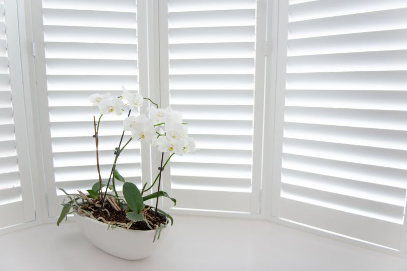 Window Shutter Installation in Longmont, CO